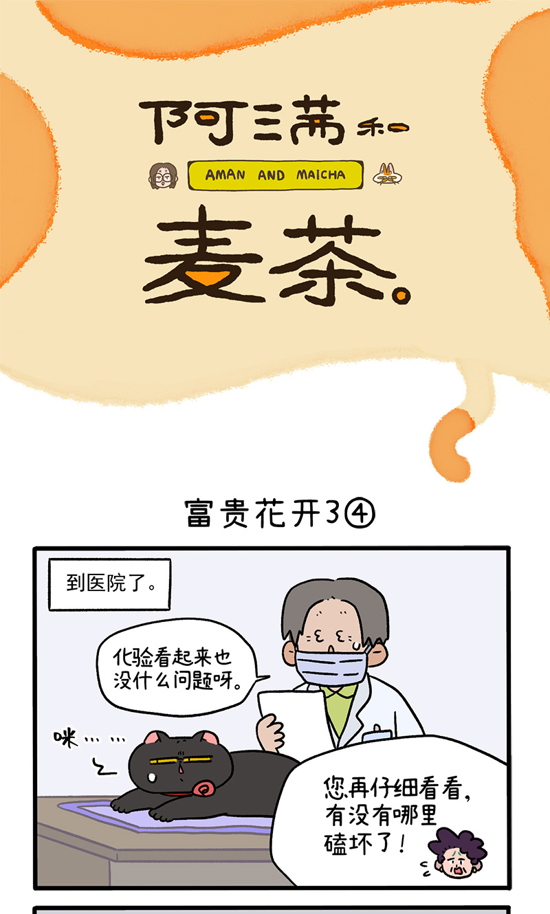 番外23下 富贵花开3-第215话