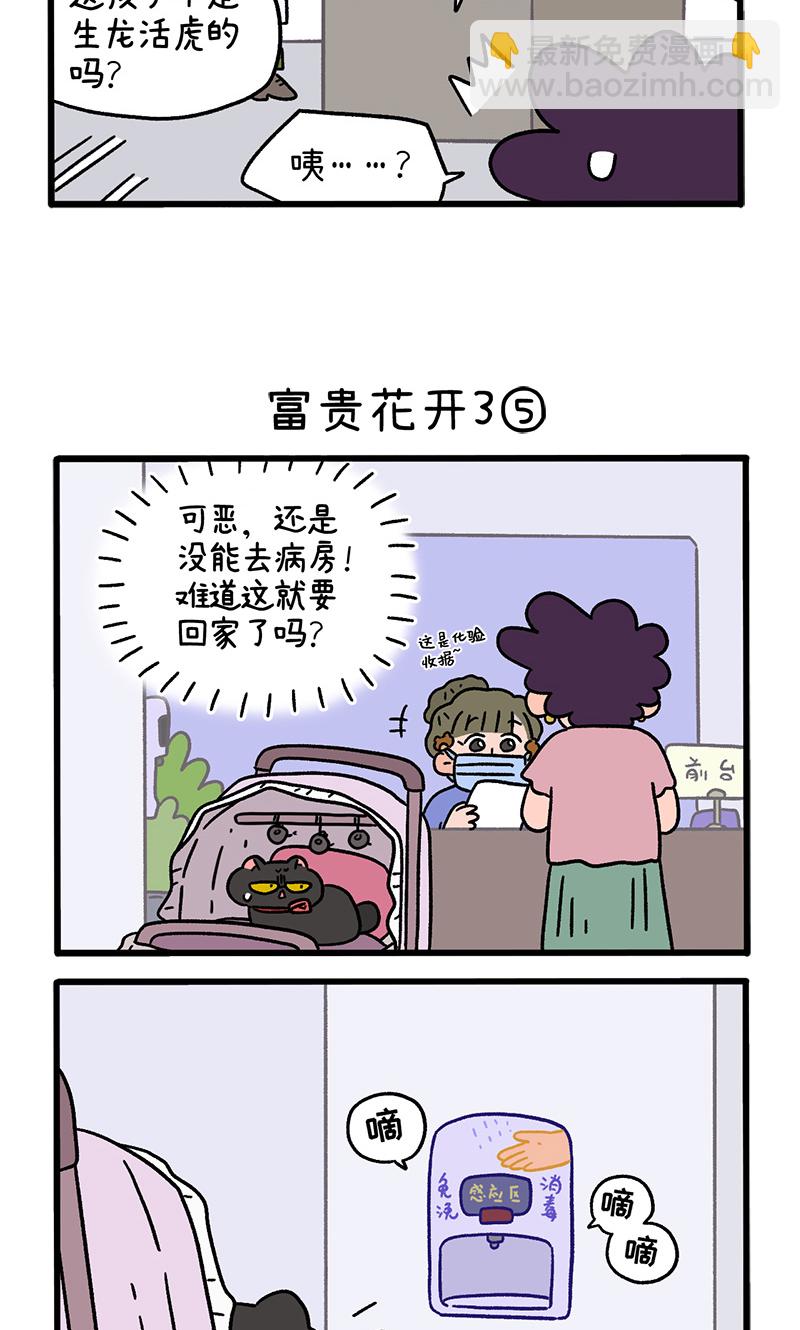 番外23下 富贵花开3-第215话