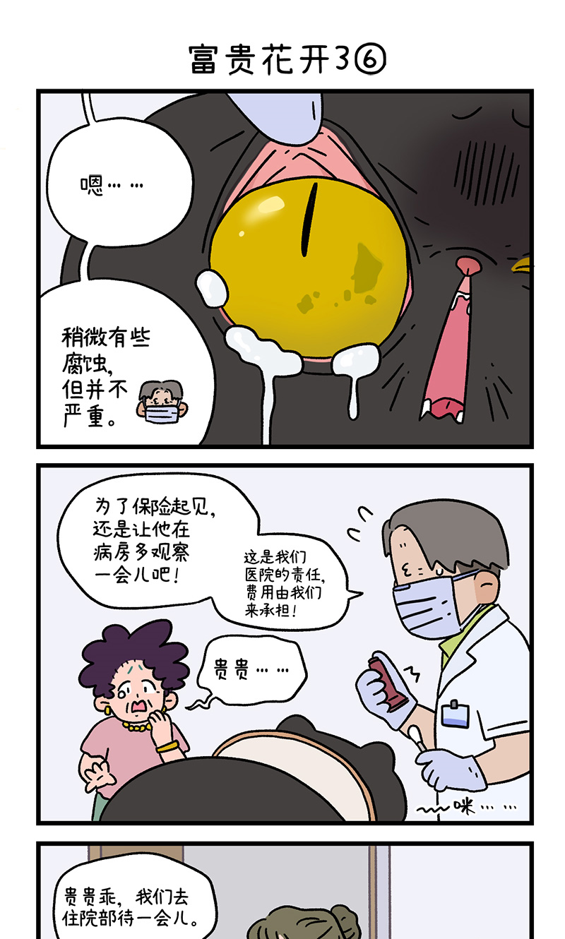番外23下 富贵花开3-第215话