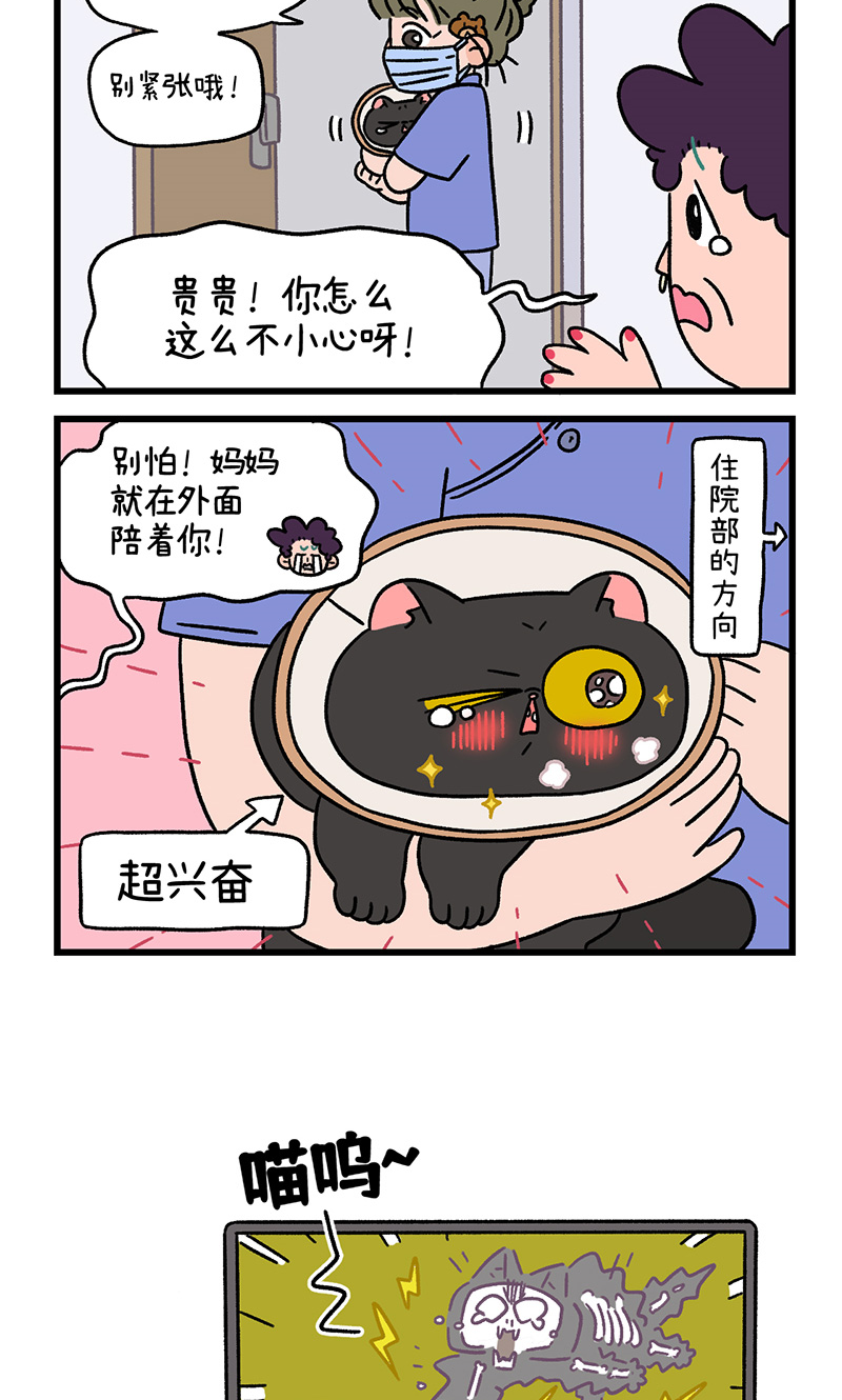 番外23下 富贵花开3-第215话