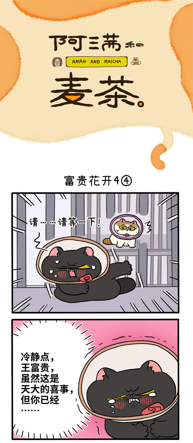 番外24下 富贵花开4-第217话
