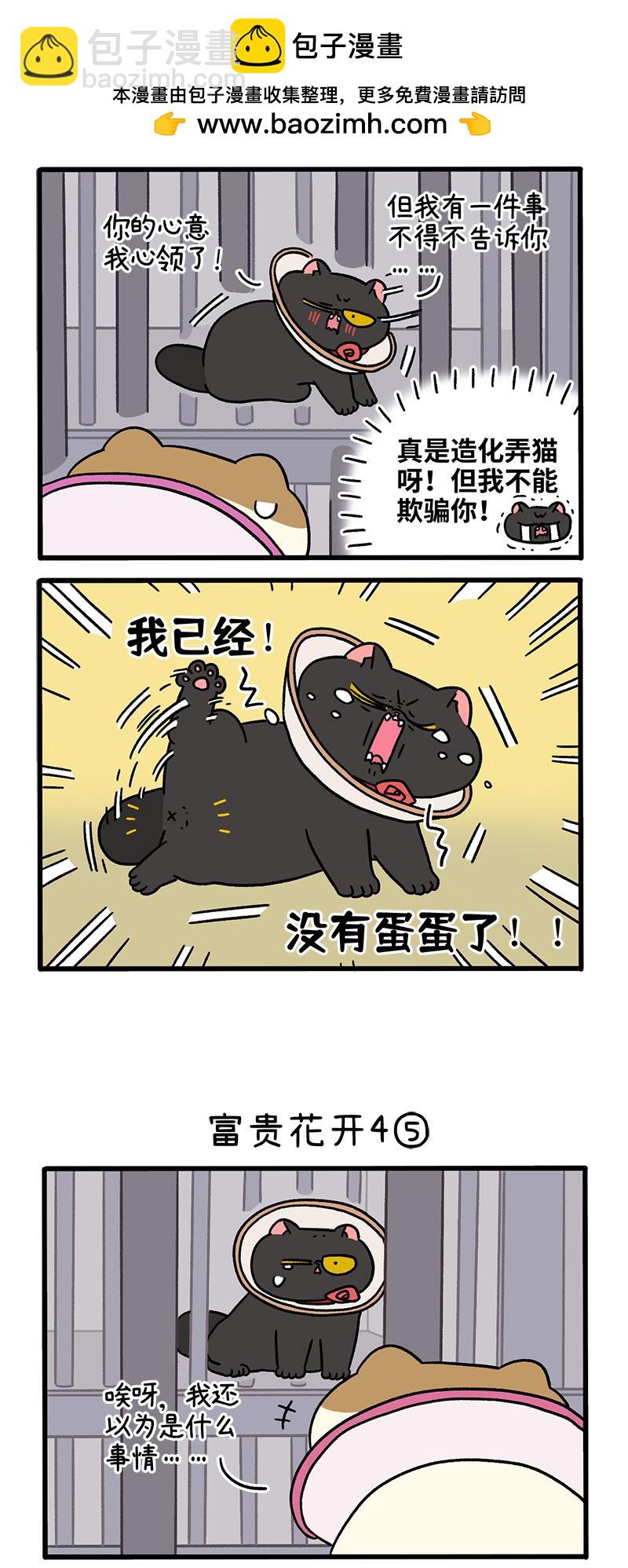 番外24下 富贵花开4-第217话