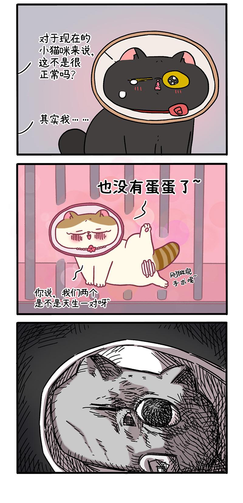 番外24下 富贵花开4-第217话
