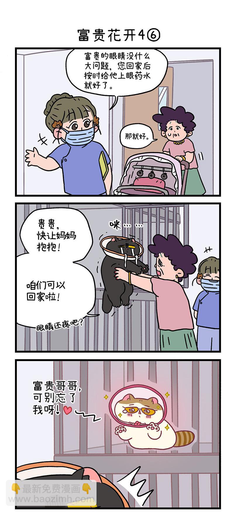 番外24下 富贵花开4-第217话