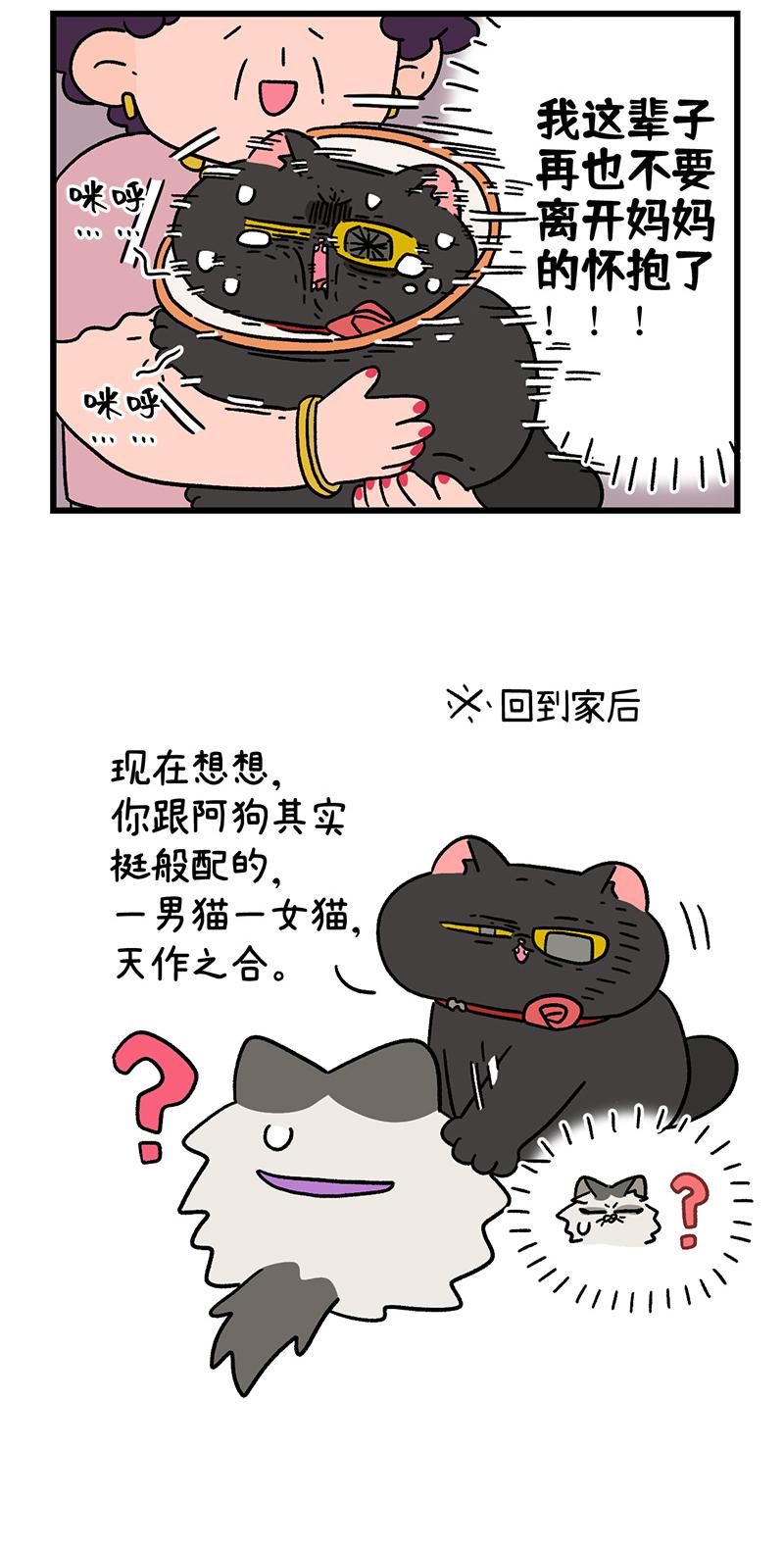 番外24下 富贵花开4-第217话