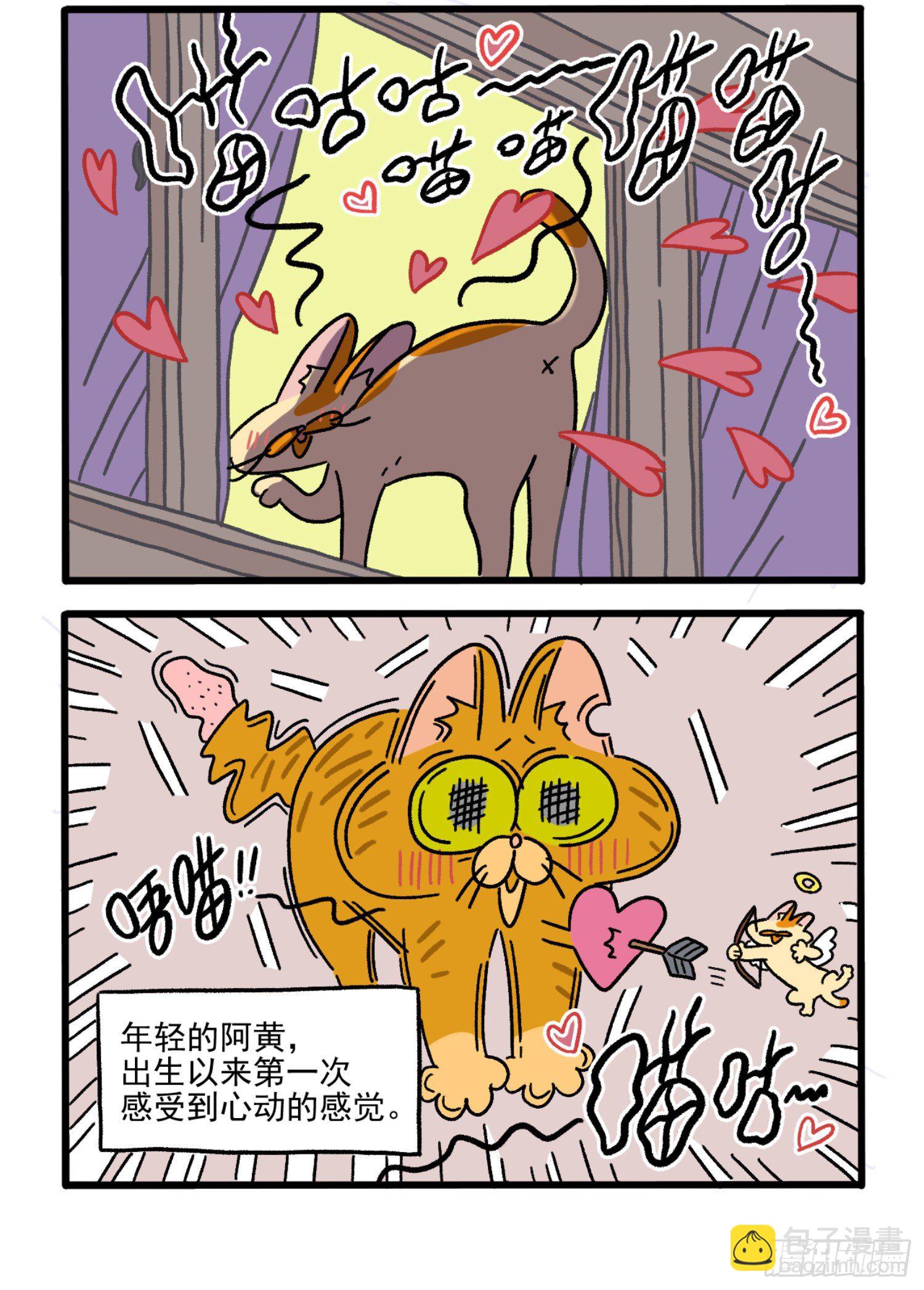 番外1 阿黄的初恋-第23话
