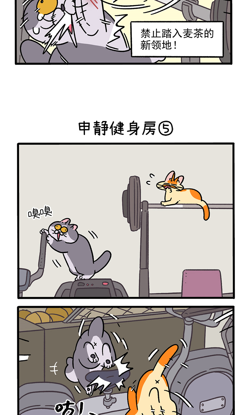 第120话2 申静健身房-第233话