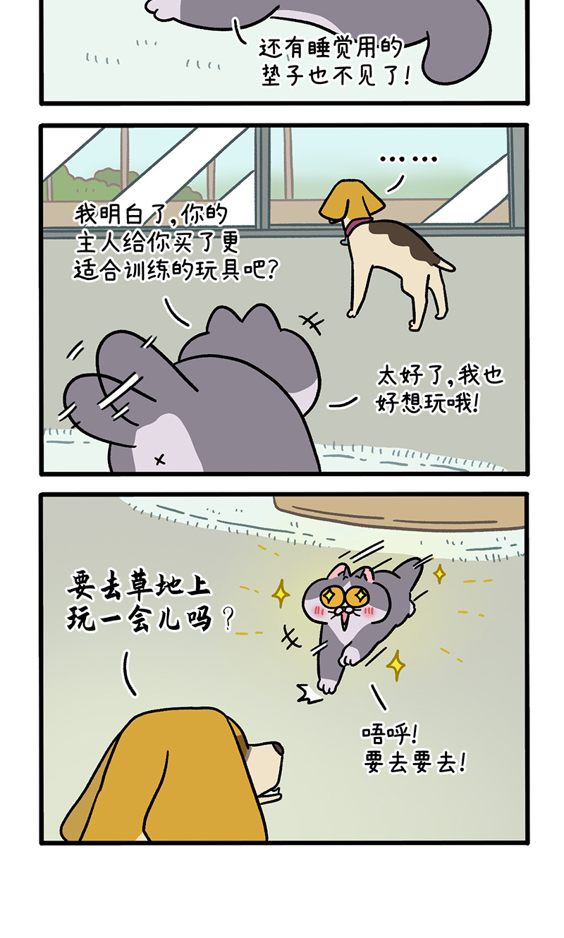 第124话2 师傅的坏消息-第241话