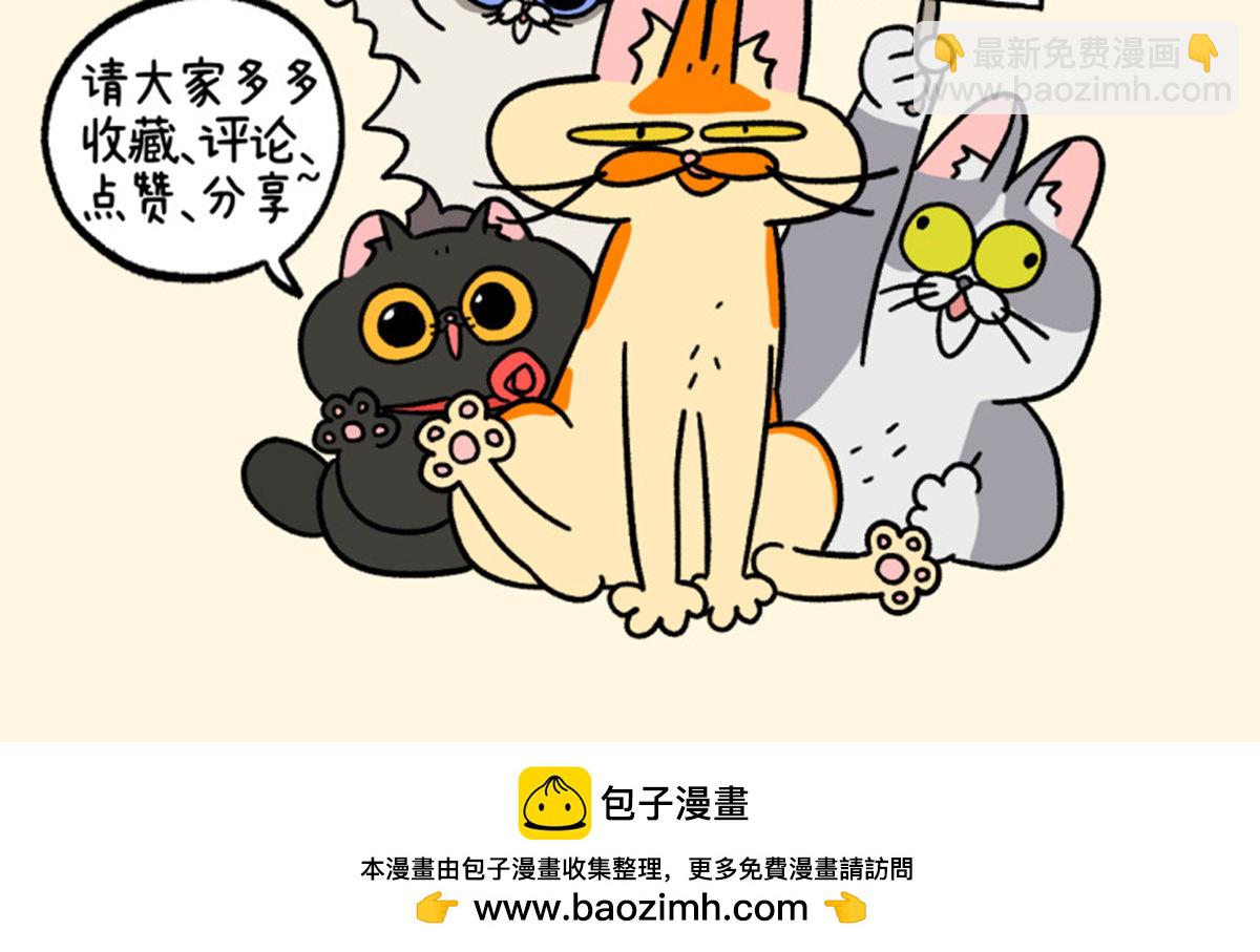 第126话2 关于毛哥是怎么有猫的-第245话