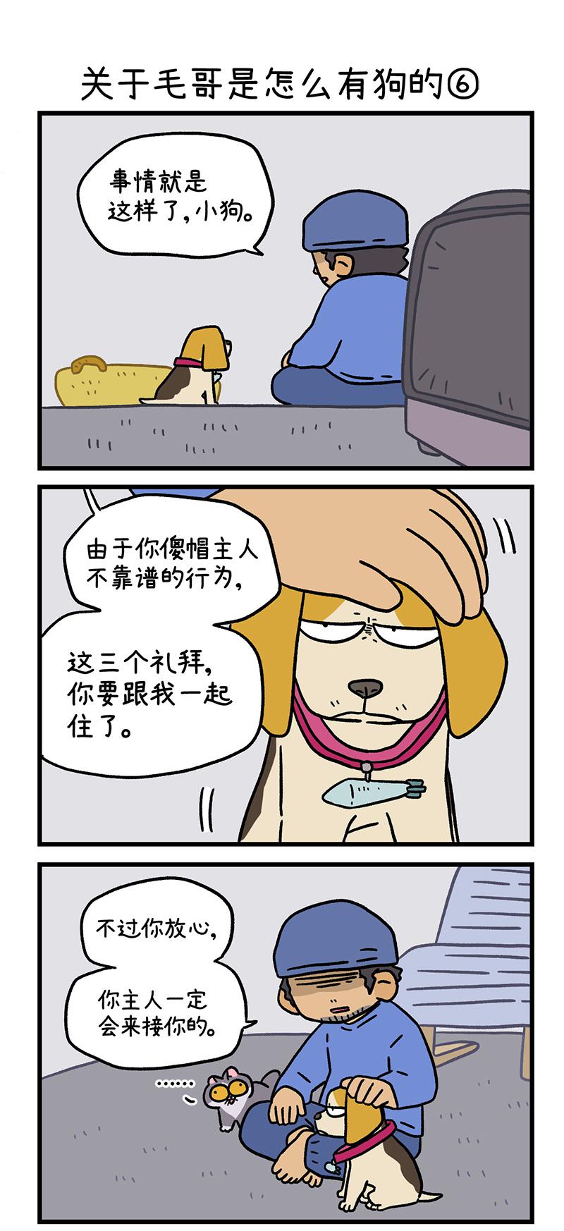 第127话2 关于毛哥是怎么有狗的-第247话