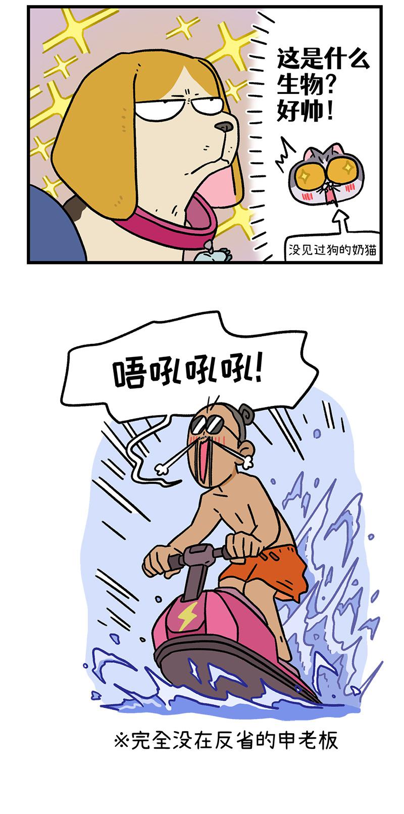第127话2 关于毛哥是怎么有狗的-第247话