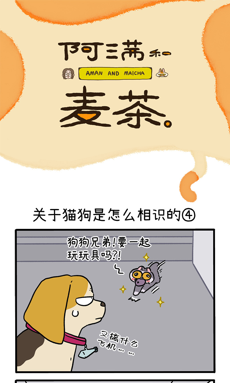 第128话2 关于猫狗是怎么相识的-第249话