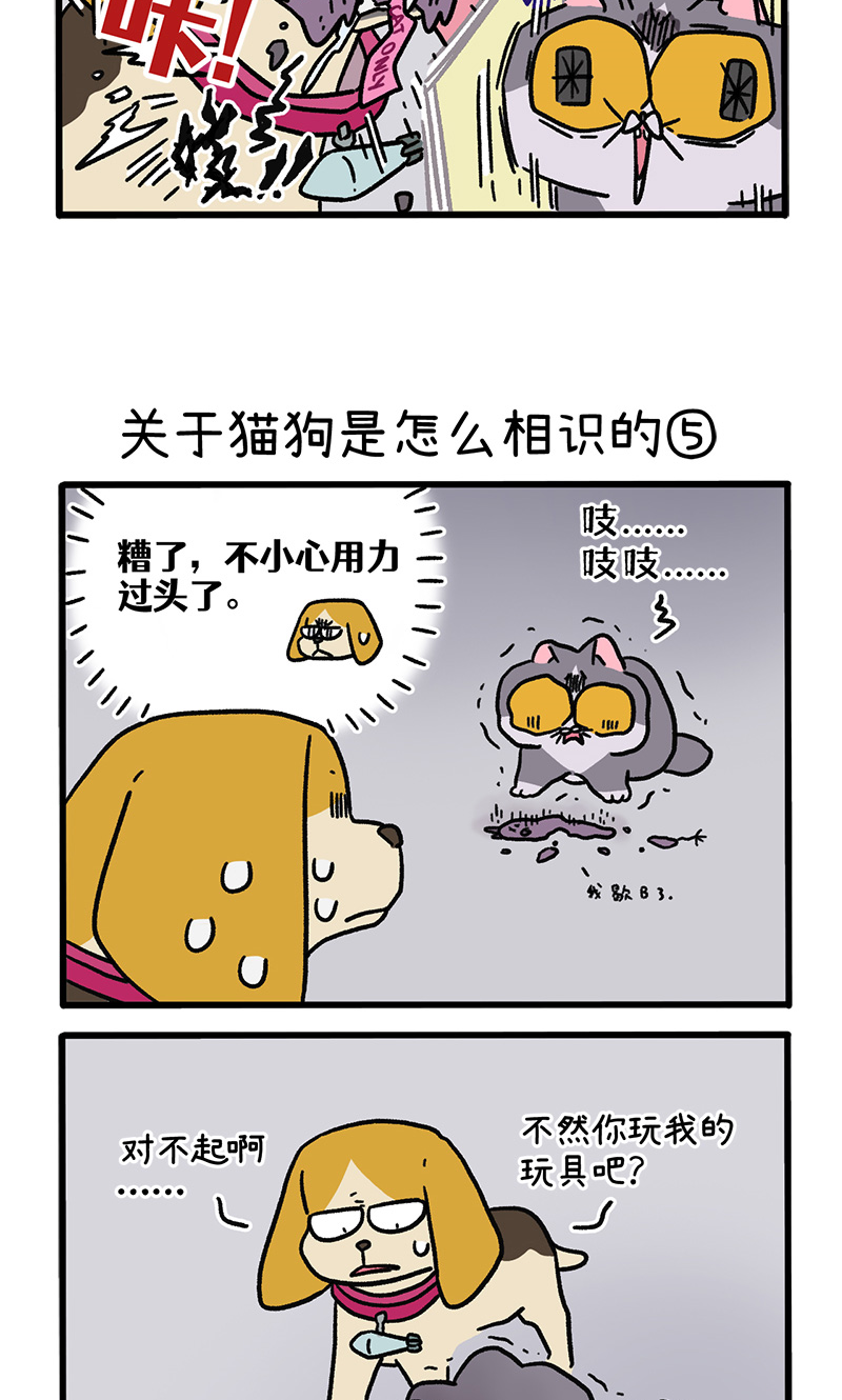 第128话2 关于猫狗是怎么相识的-第249话