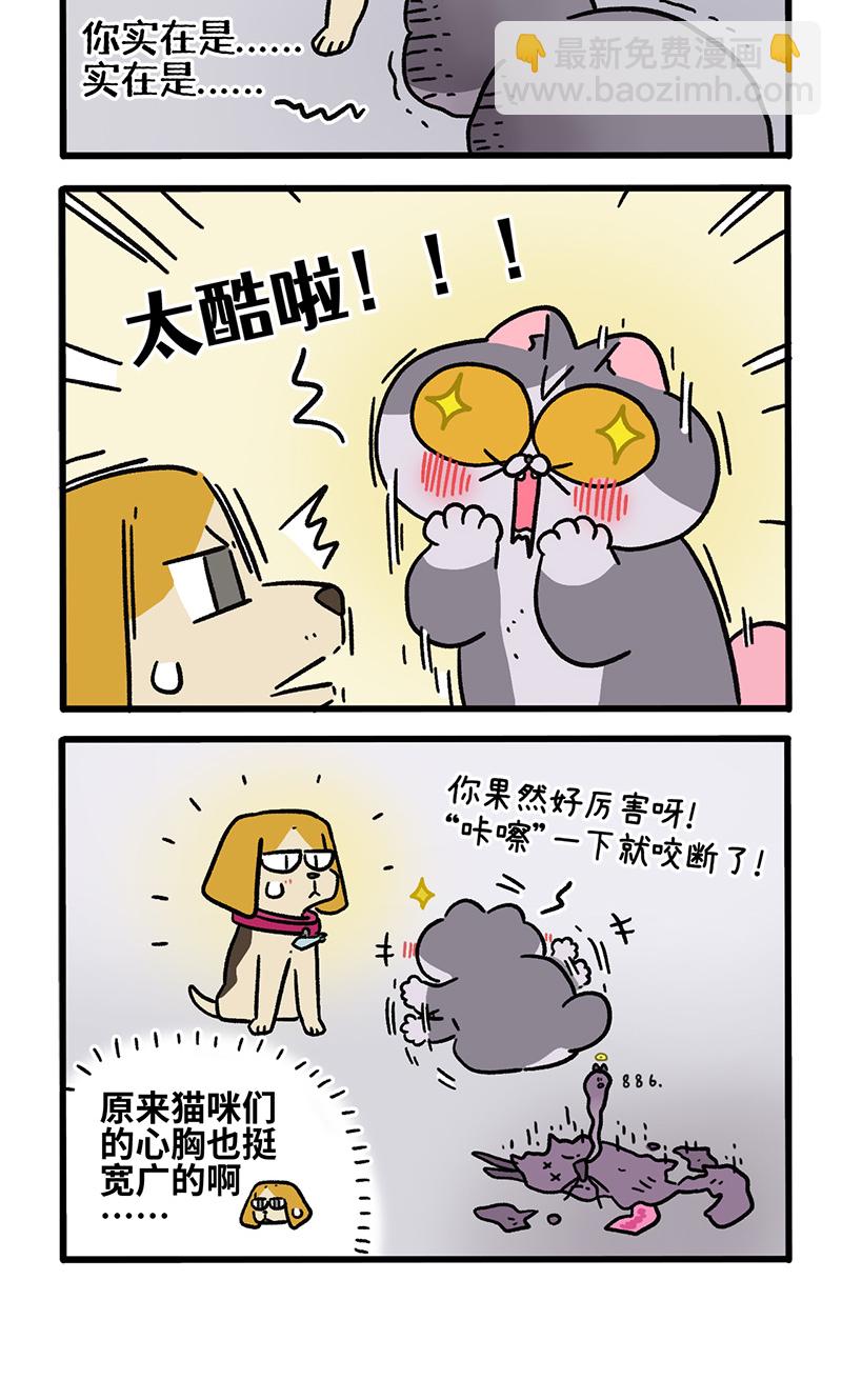 第128话2 关于猫狗是怎么相识的-第249话
