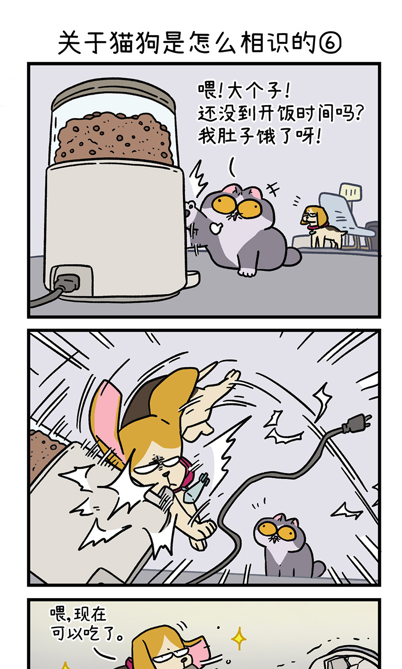 第128话2 关于猫狗是怎么相识的-第249话