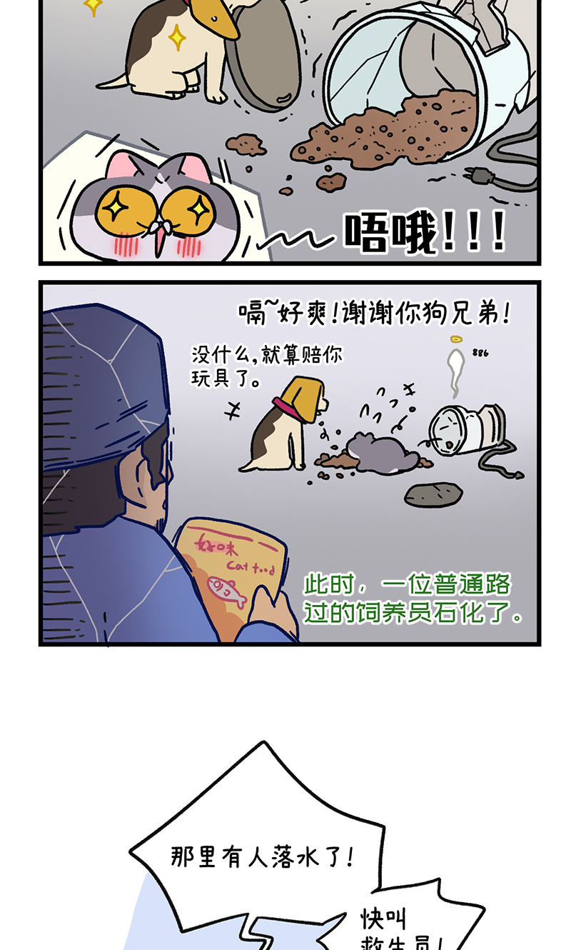 第128话2 关于猫狗是怎么相识的-第249话