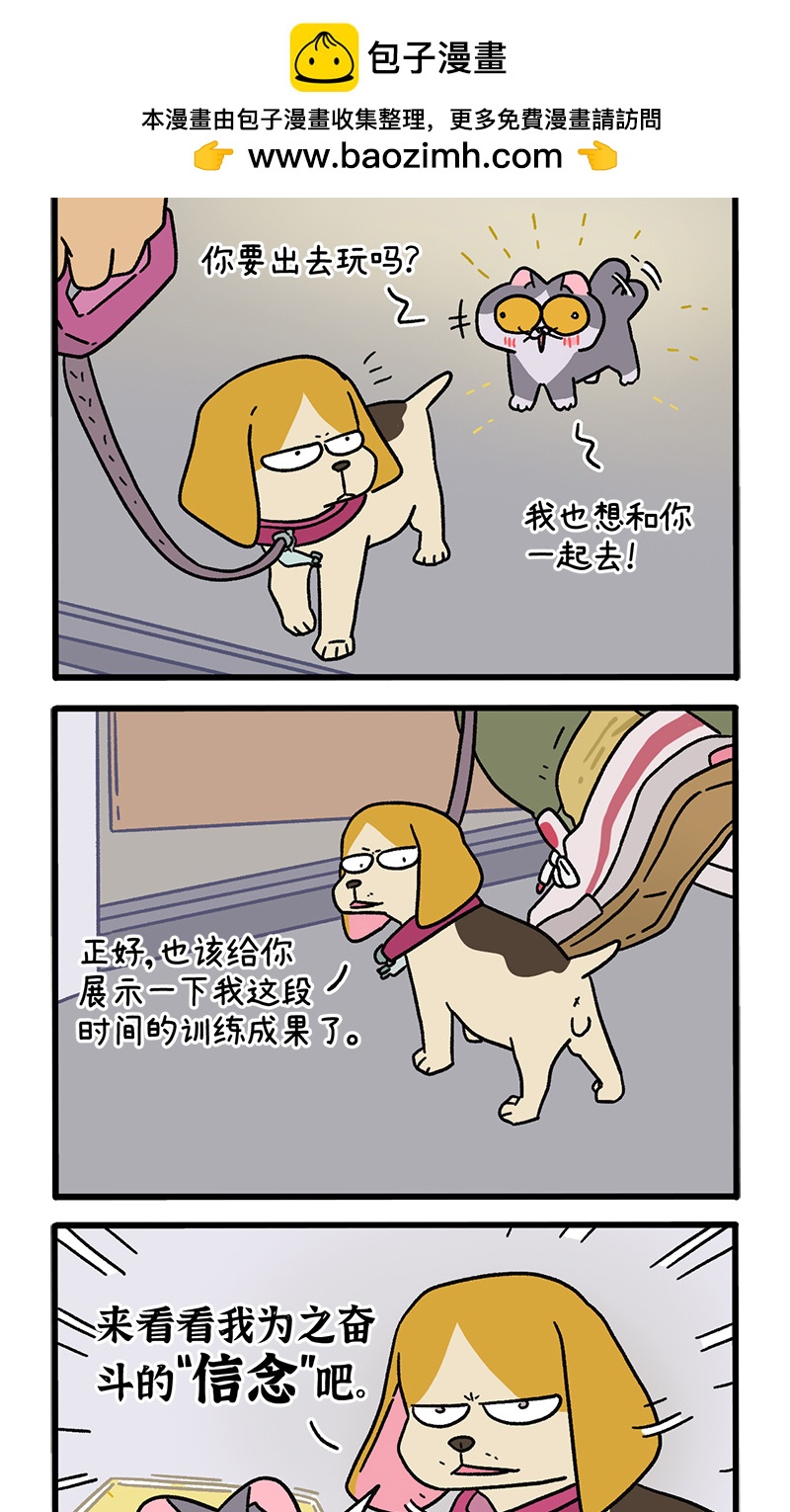 第129话2 关于猫狗是怎么相处的-第251话