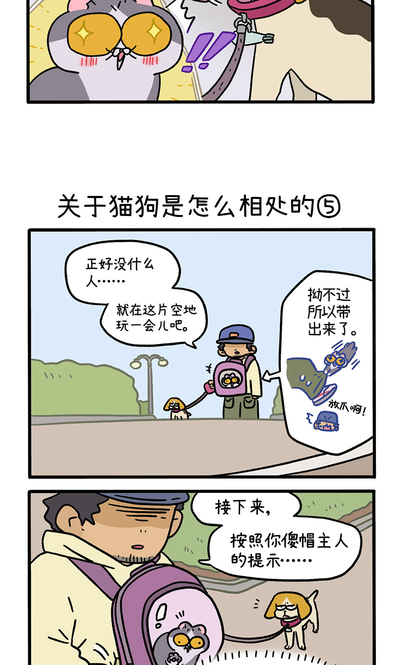 第129话2 关于猫狗是怎么相处的-第251话