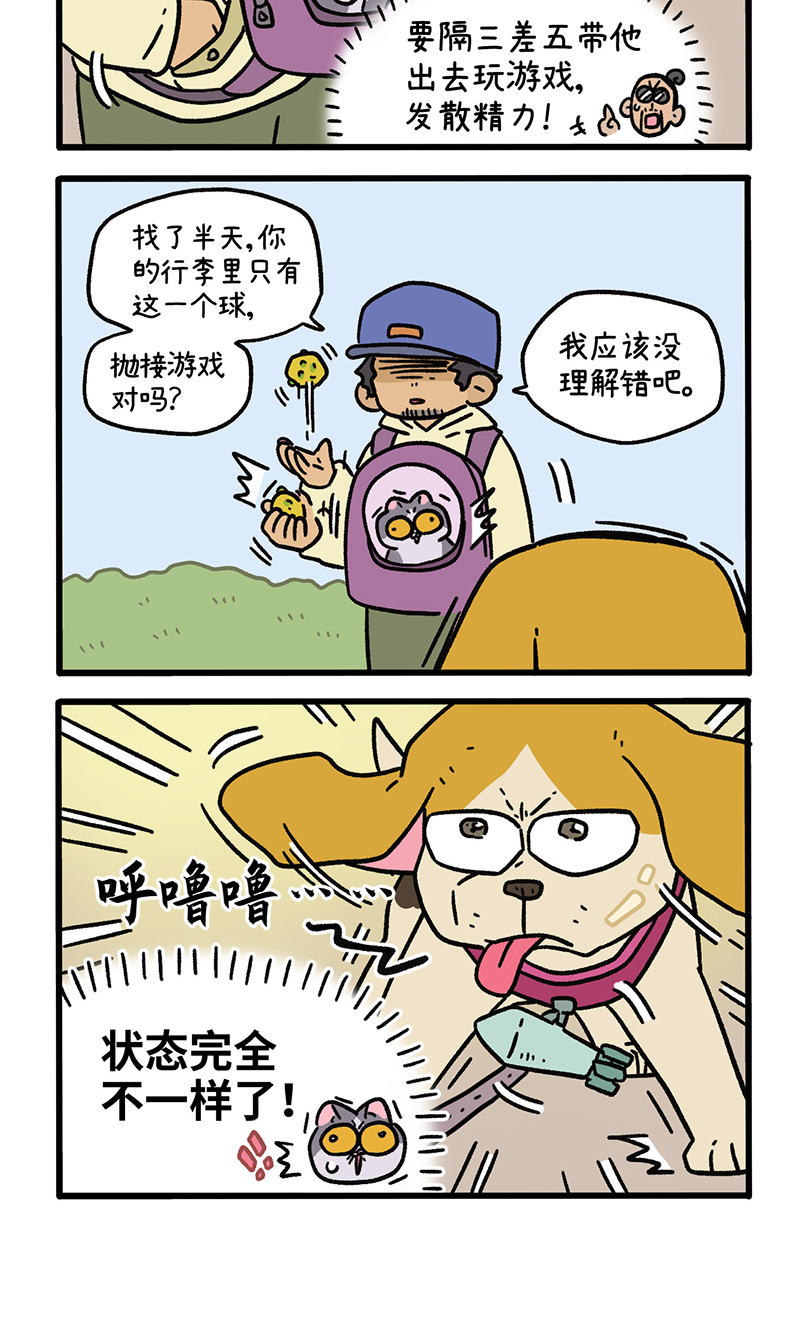 第129话2 关于猫狗是怎么相处的-第251话