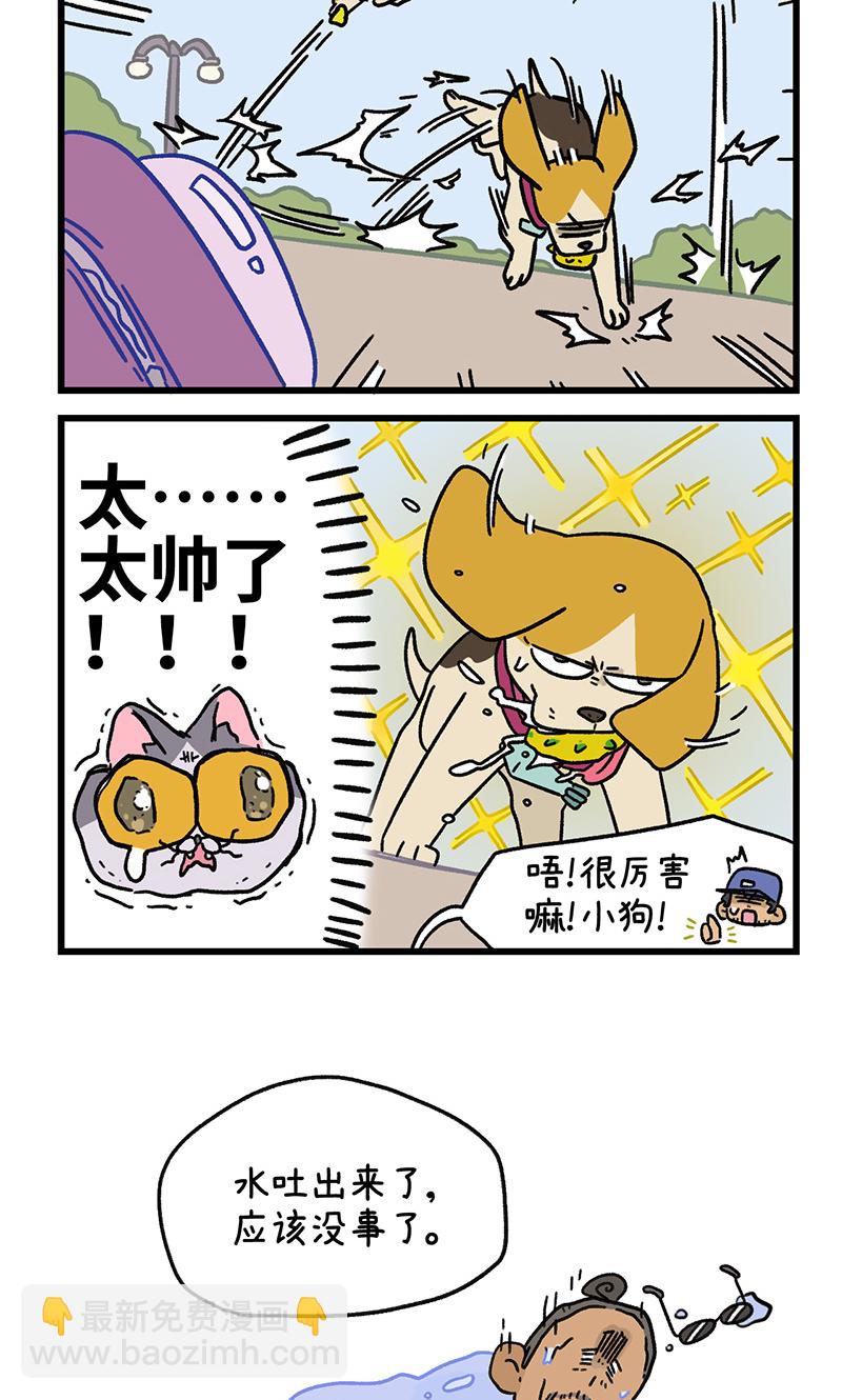 第129话2 关于猫狗是怎么相处的-第251话