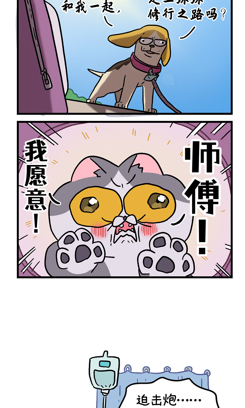 第130话2 关于师傅是怎么收徒的-第253话