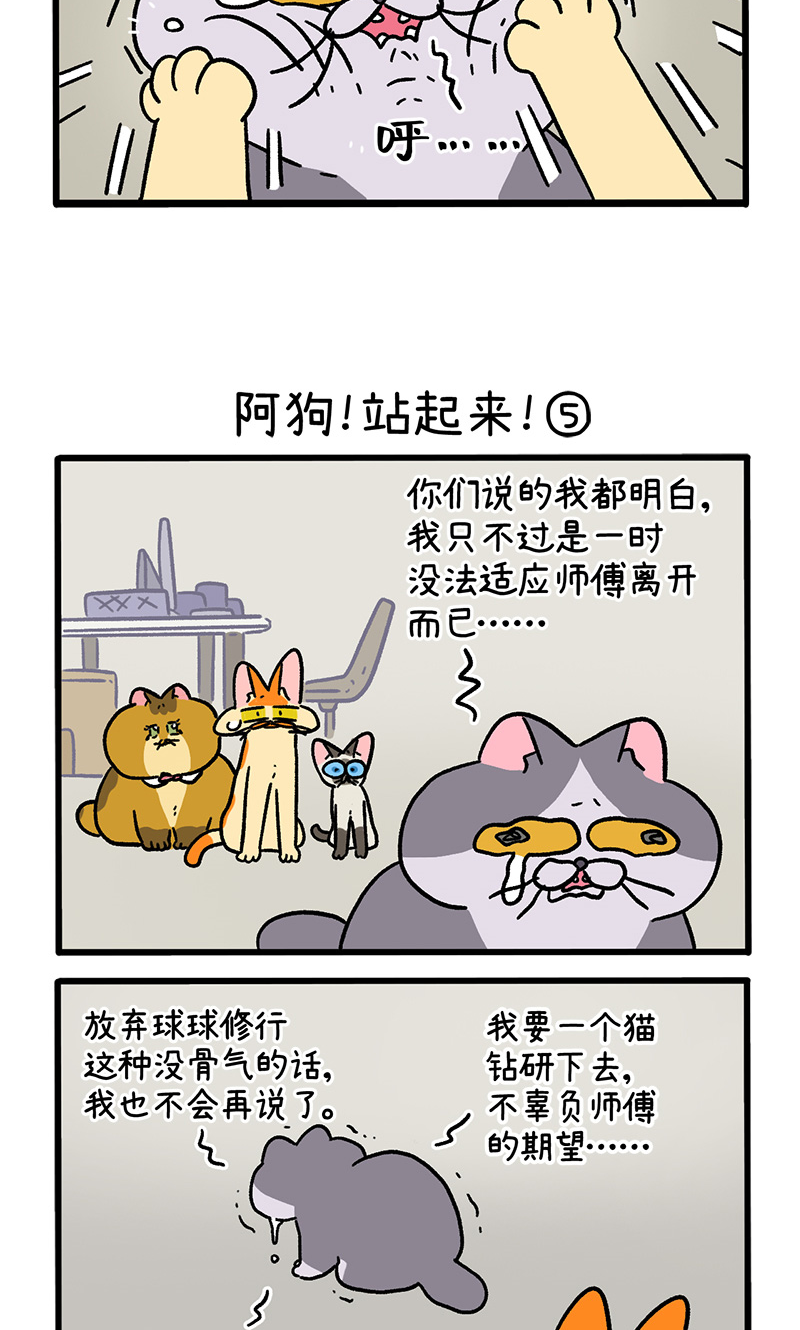 第131话2 阿狗！站起来！-第255话