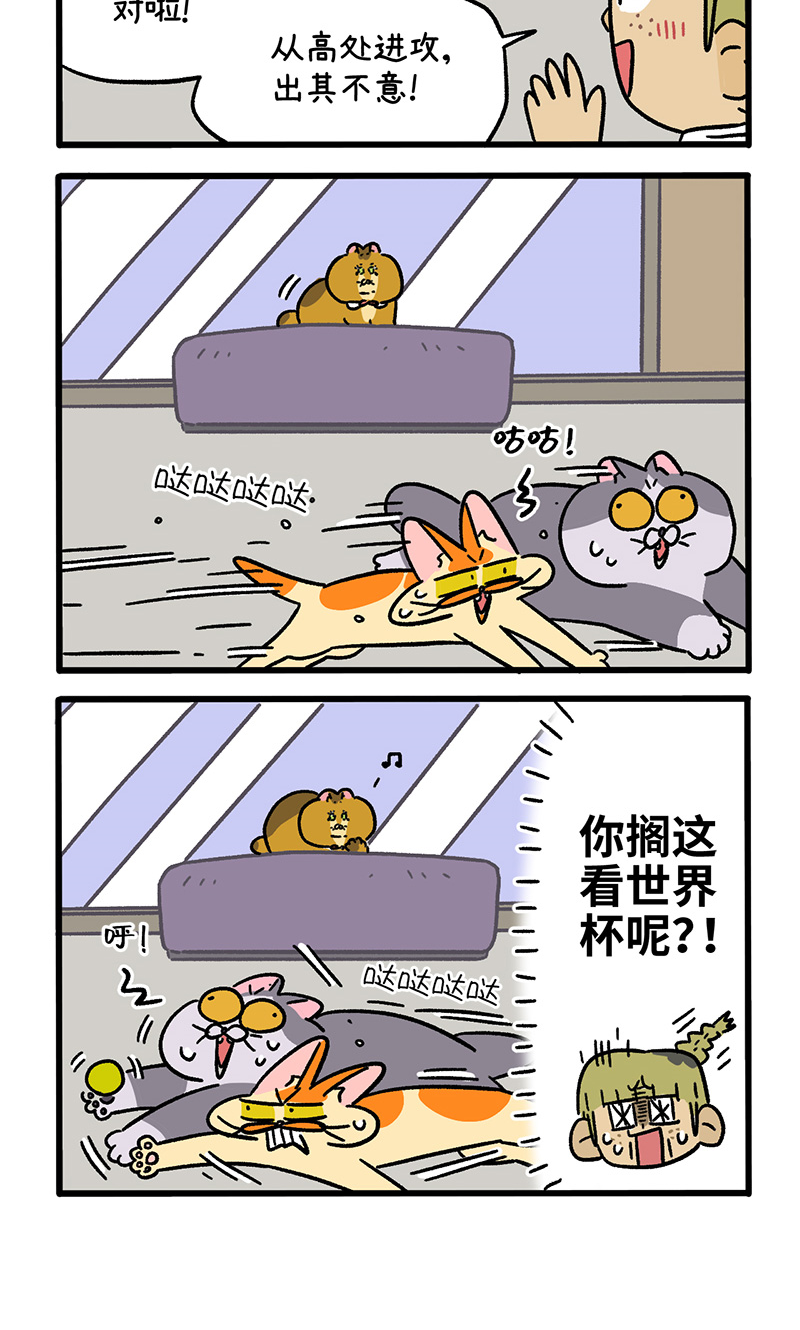 第133话2 德皮特减肥记2-第259话