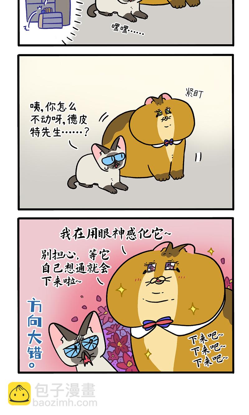 第134话2 德皮特减肥记3-第261话