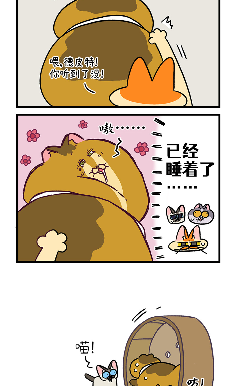 第134话2 德皮特减肥记3-第261话