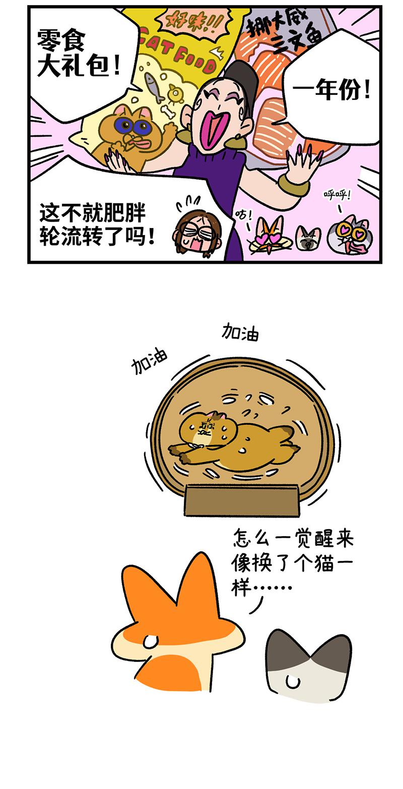 第135话2 德皮特减肥记4-第263话