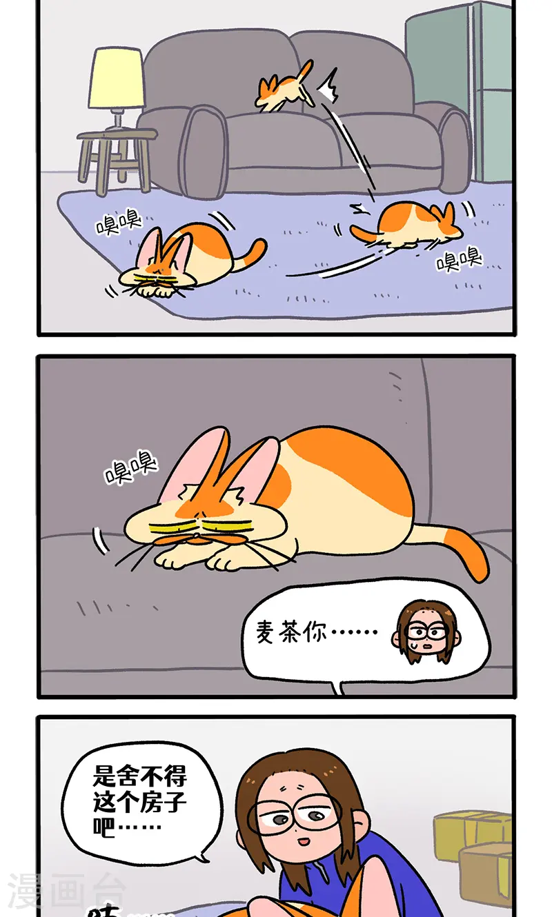 第138话2 再见第一个家-第273话
