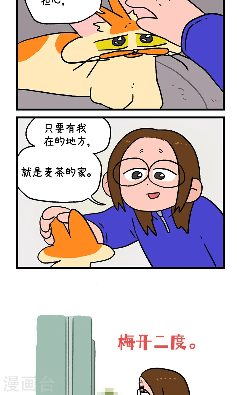 第138话2 再见第一个家-第273话