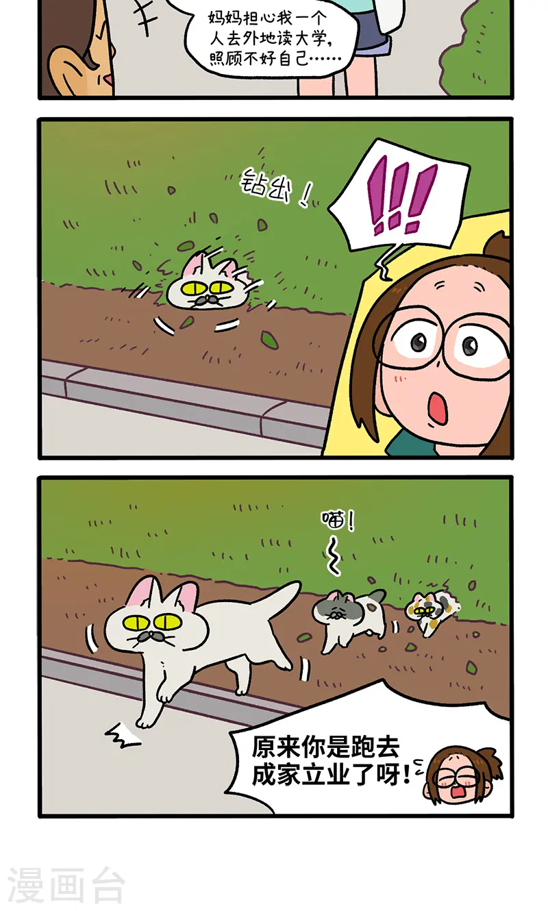 第140话2 第二只猫咪-第279话