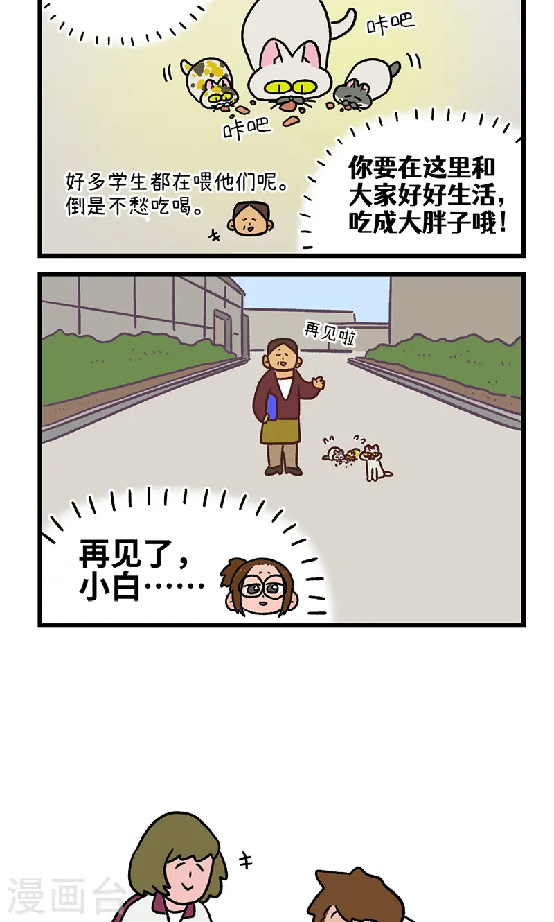 第140话2 第二只猫咪-第279话