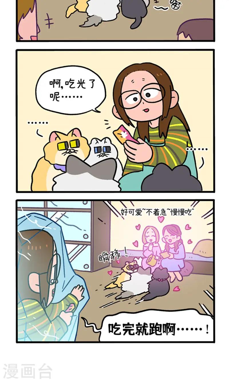 第141话2 第三只猫咪-第281话