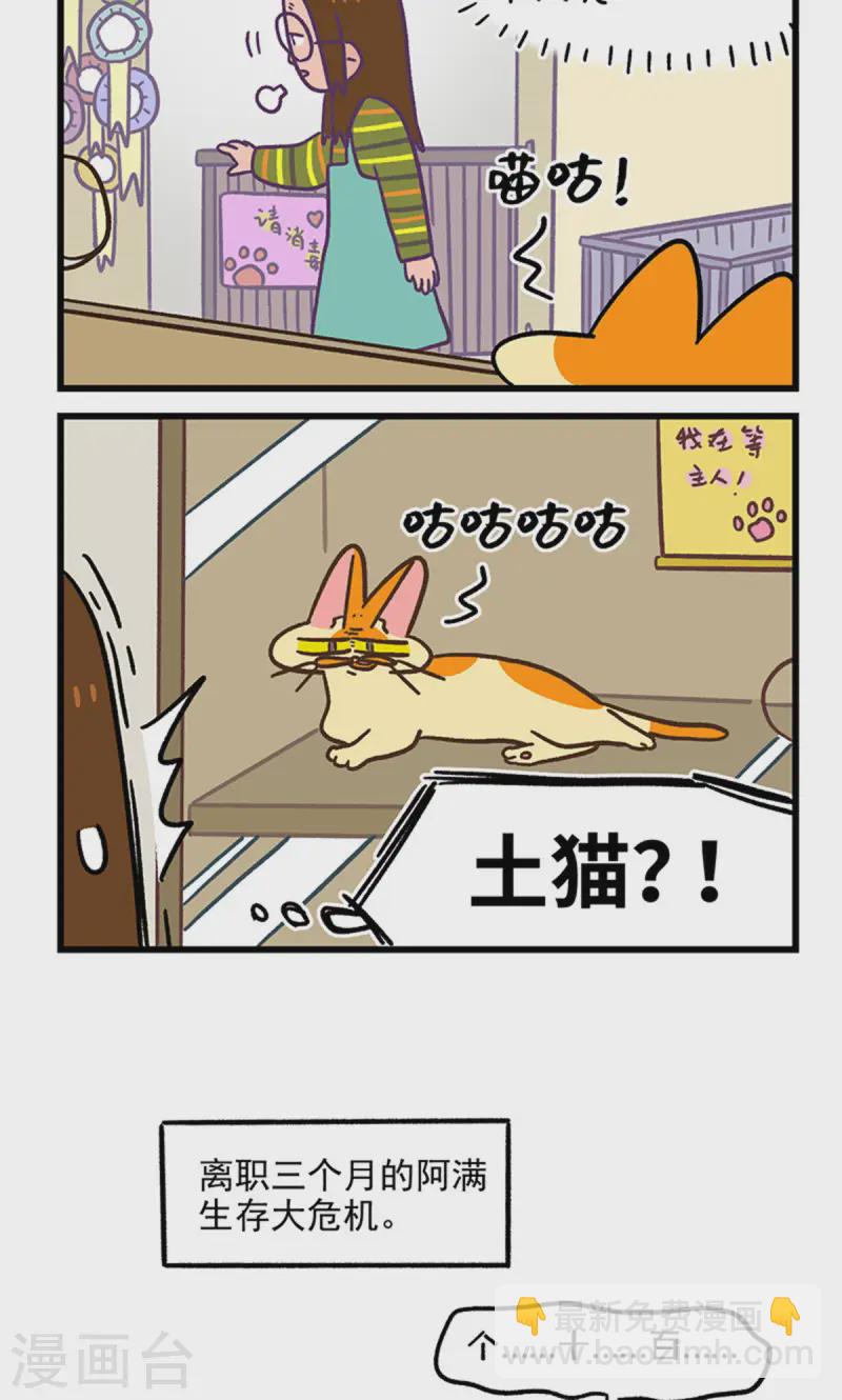 第141话2 第三只猫咪-第281话