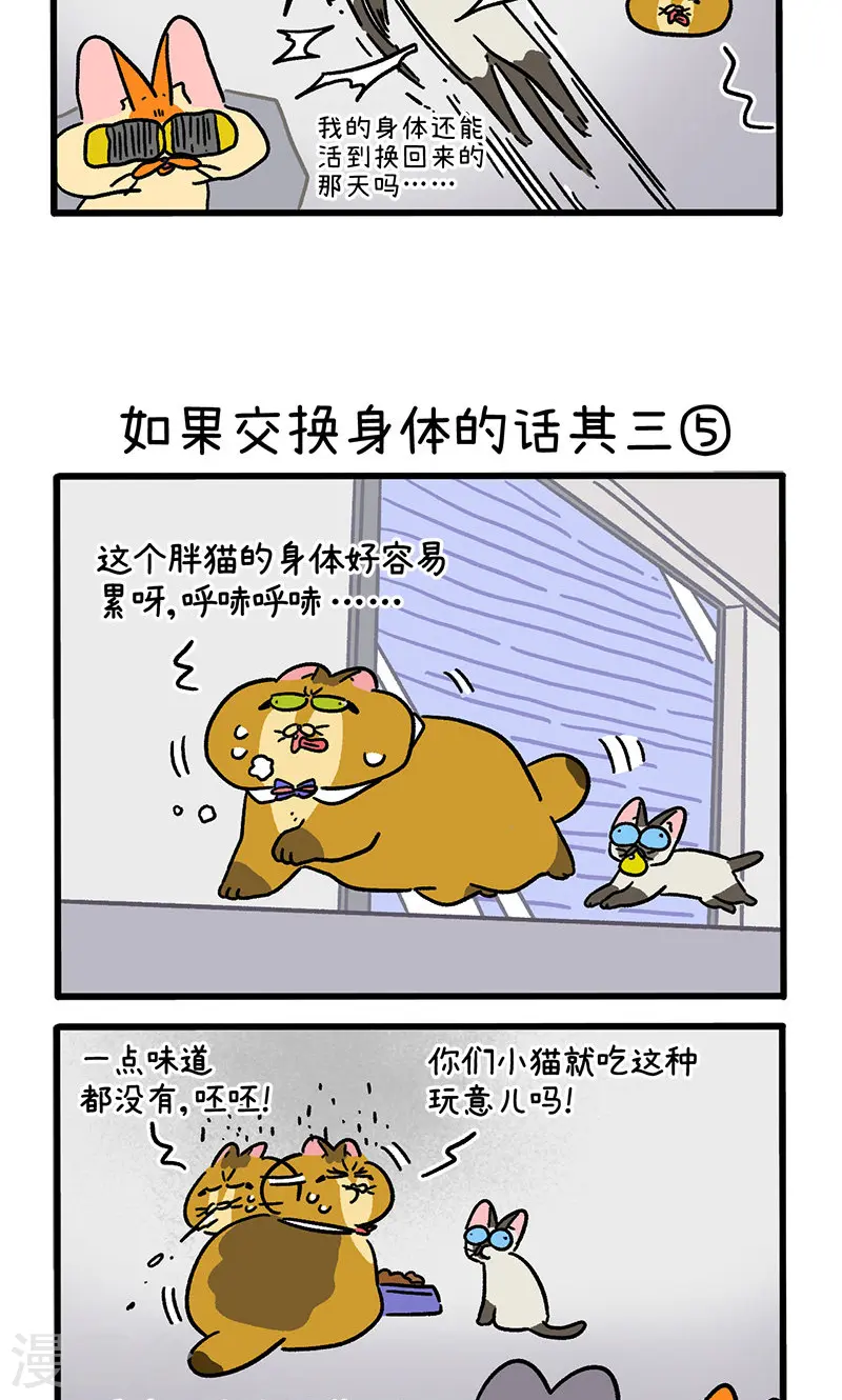 第152话2 如果交换身体的话3-第303话