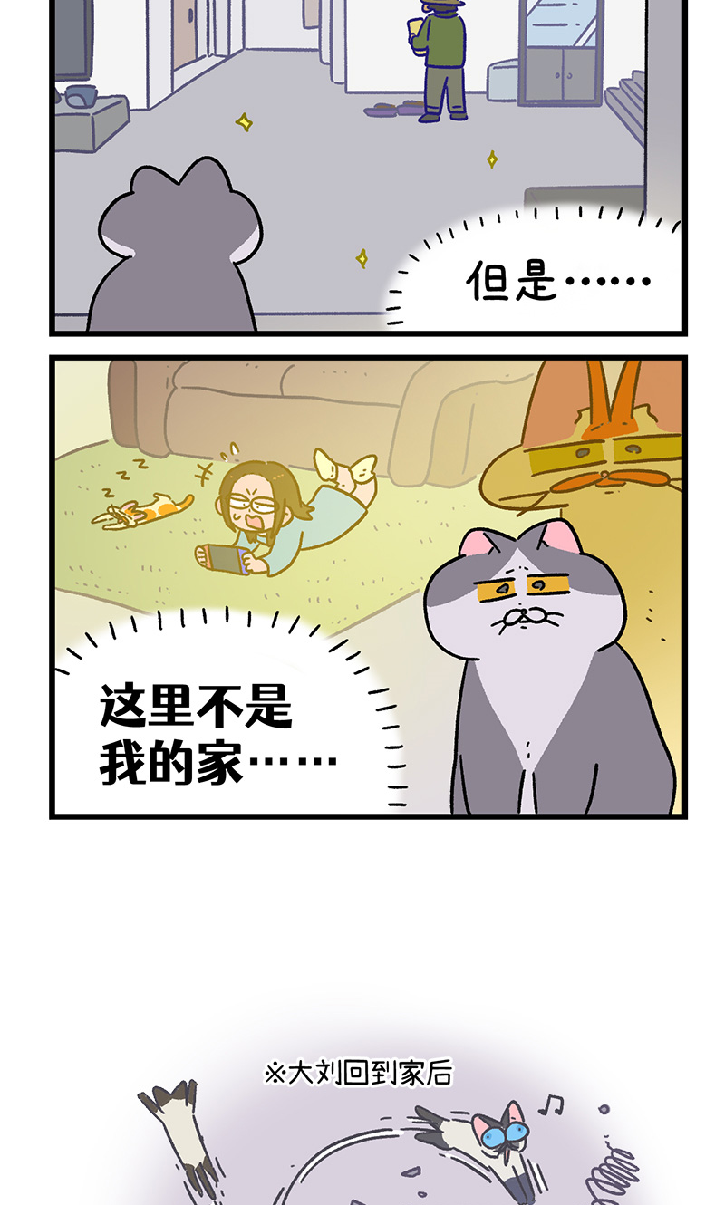 第154话2 如果交换身体的话5-第307话