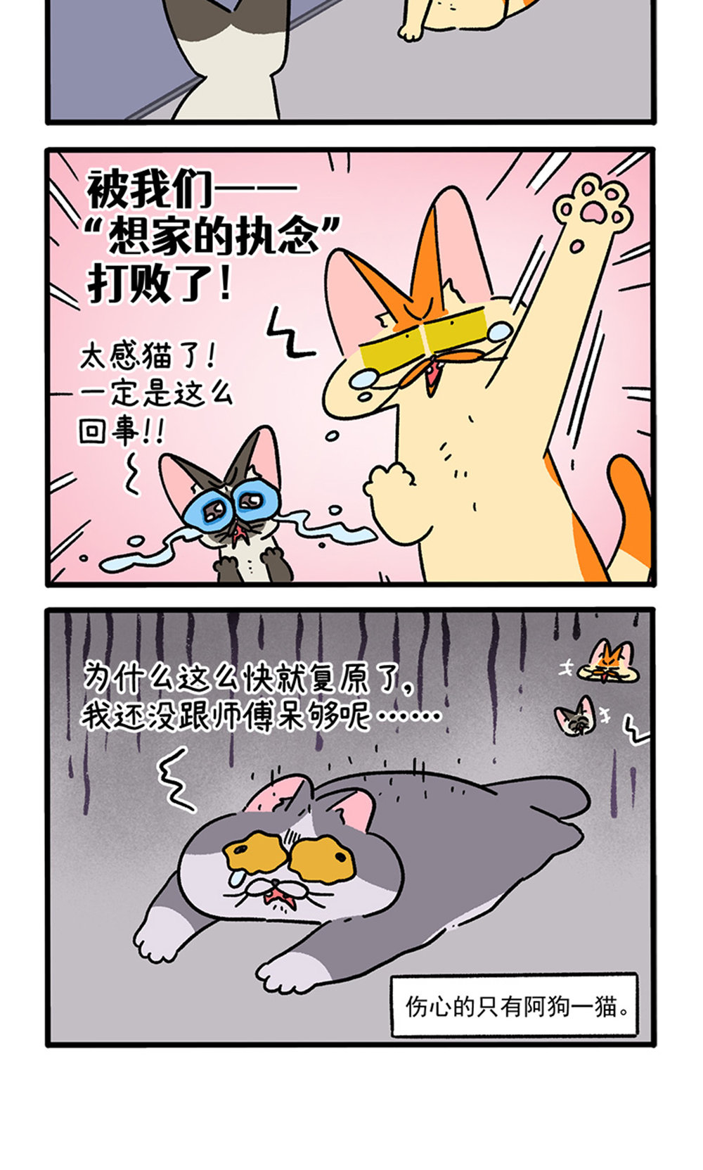 第155话2 如果交换身体的话6-第309话