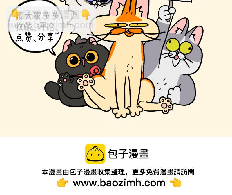 第156话2 猫晶晶的春日企划1-第311话