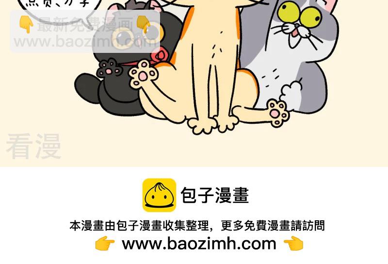 第157话2 猫晶晶的春日企划2-第313话