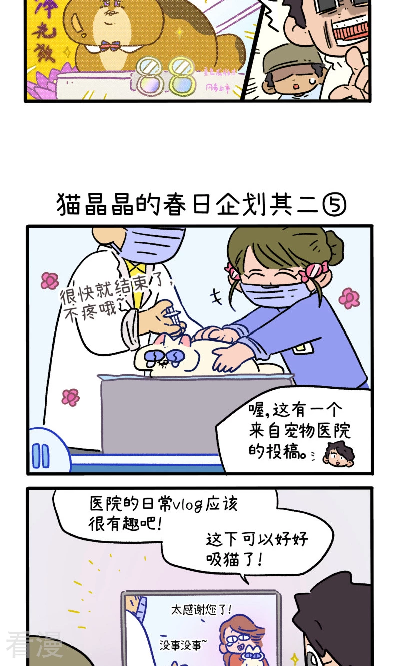 第157话2 猫晶晶的春日企划2-第313话