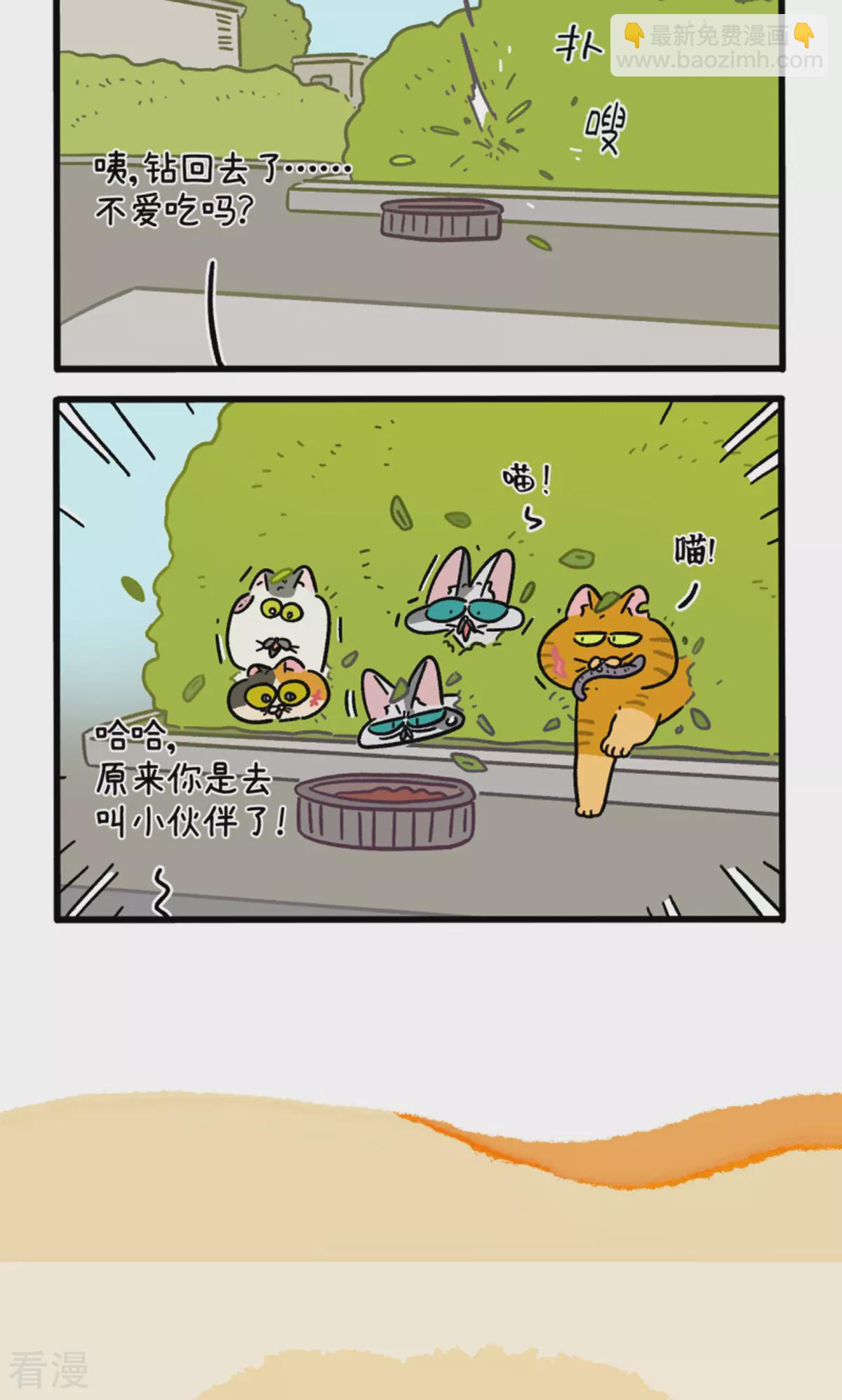 第158话2 猫晶晶的春日企划3-第315话