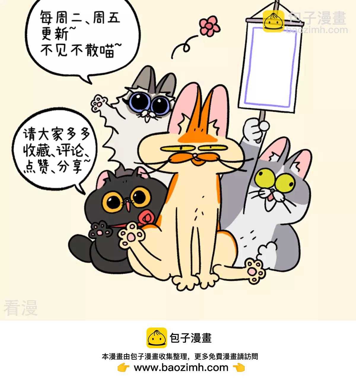 第158话2 猫晶晶的春日企划3-第315话