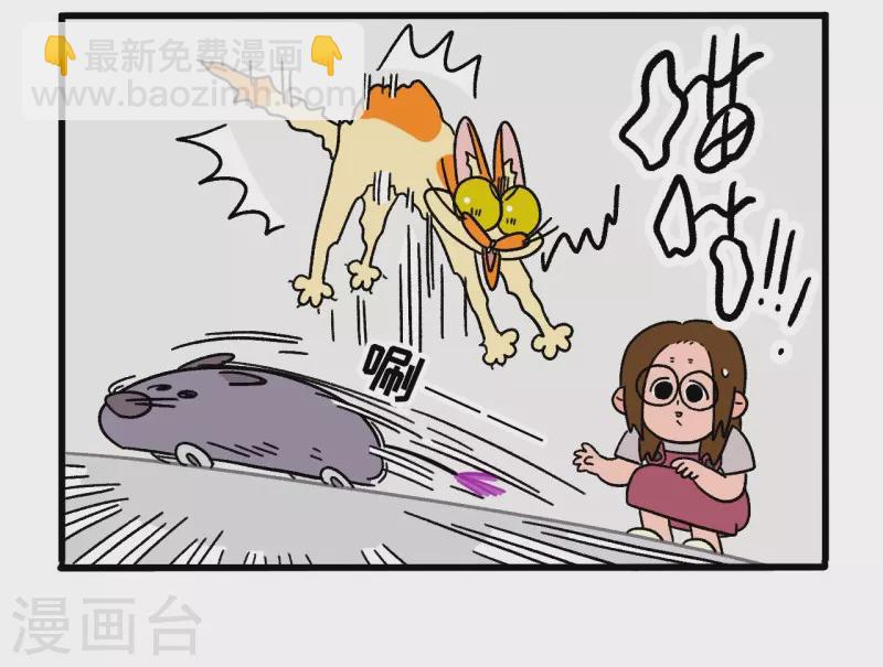 第25话 电动老鼠-第39话