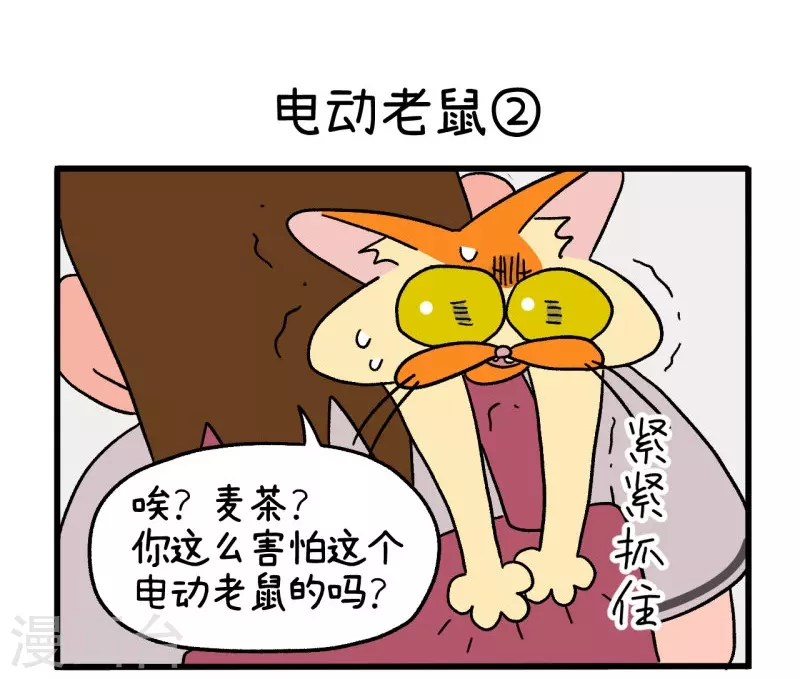 第25话 电动老鼠-第39话