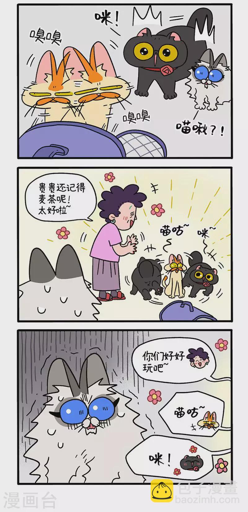 第35话1 麦茶来了-第53话