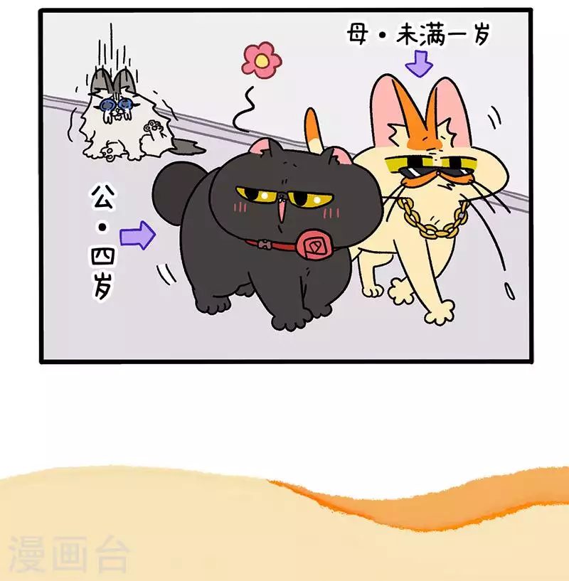 第35话1 麦茶来了-第53话