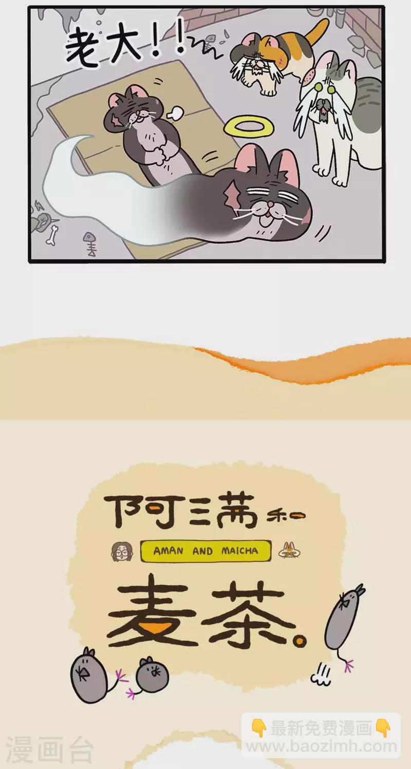 第37话1 继任老大-第57话
