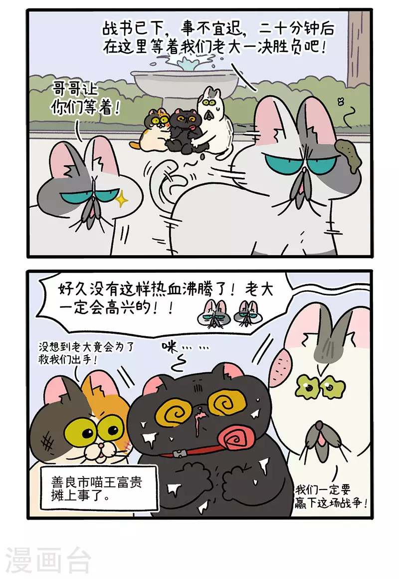 第41话 收到战书-第65话